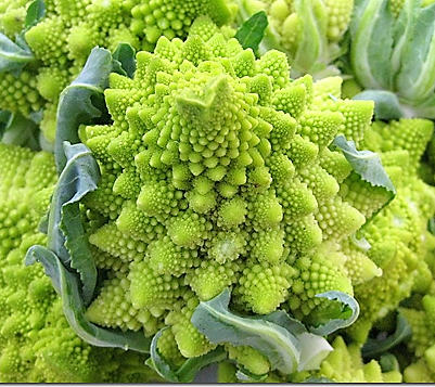 broccolata-romana